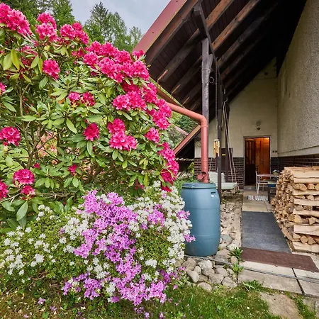 Cerny By Interhome *